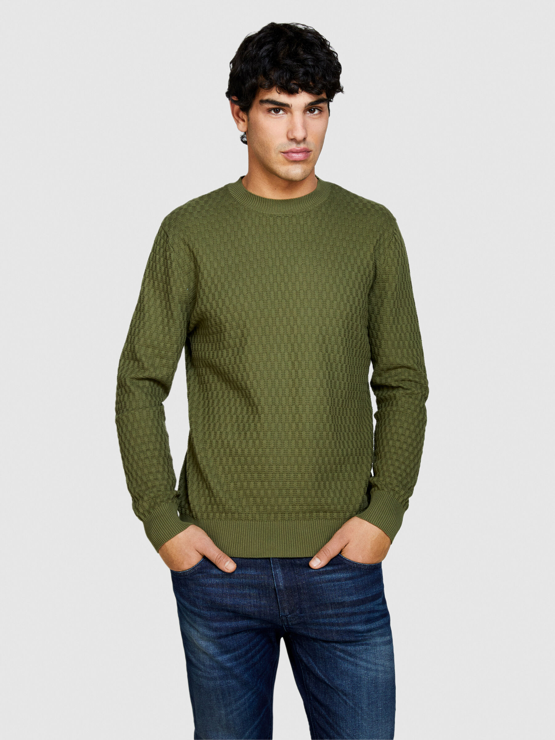 Solid color sweaters 2025