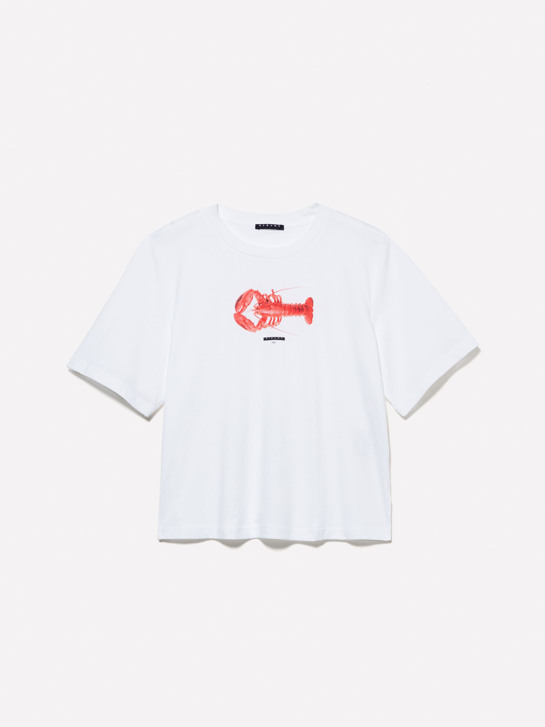 ◆SATUR◆ All Day Slavic Short Sleeve T-Shirt Organic White RAMMOR MINIMAL T-SHIRT OFF-WHITE - Oversize Unisex Organic