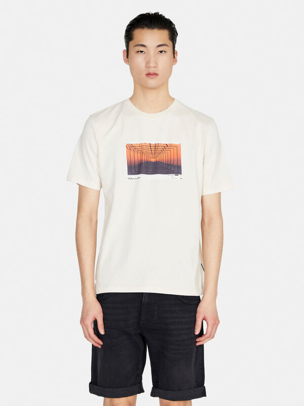 100% cotton t-shirt with print - men's short sleeve t-shirts | Sisley